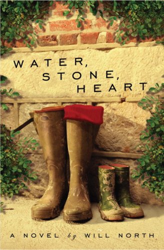 9780307451613: Water, Stone, Heart: A Novel