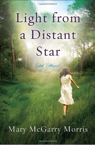 Beispielbild fr Light from a Distant Star: A Novel zum Verkauf von SecondSale