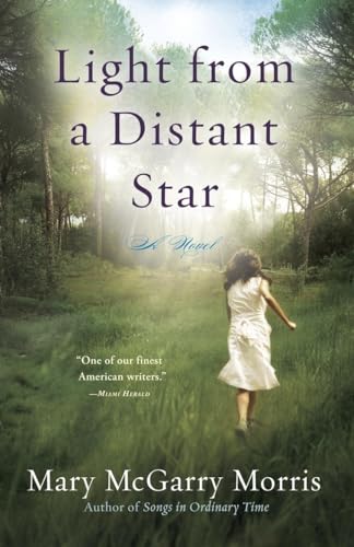 Beispielbild fr Light from a Distant Star: A Novel zum Verkauf von SecondSale