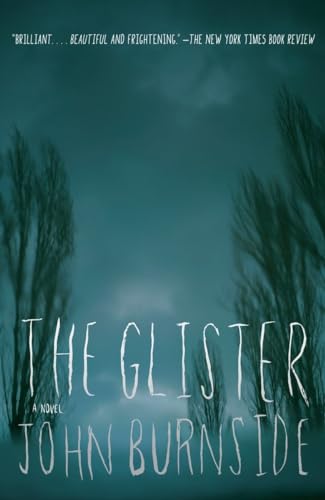 Stock image for The Glister for sale by Irish Booksellers
