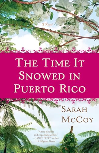 Beispielbild fr The Time It Snowed in Puerto Rico : A Novel zum Verkauf von Better World Books