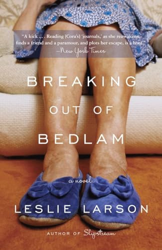 Imagen de archivo de Breaking Out of Bedlam: A Novel a la venta por SecondSale