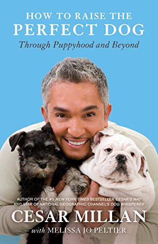 Imagen de archivo de How to Raise the Perfect Dog: Through Puppyhood and Beyond a la venta por Gulf Coast Books
