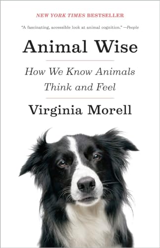 Beispielbild fr Animal Wise : How We Know Animals Think and Feel zum Verkauf von Better World Books
