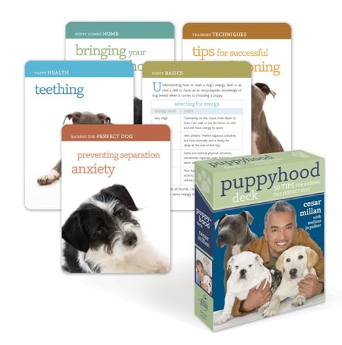 Stock image for Puppyhood Deck: 50 Tips for Raising the Perfect Dog for sale by Bulk Book Warehouse
