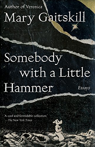 Beispielbild fr Somebody with a Little Hammer: Essays zum Verkauf von Goodwill Southern California