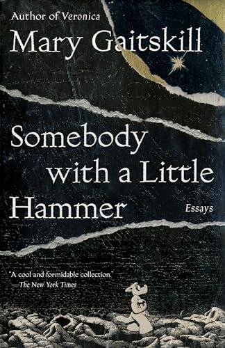 Stock image for Somebody with a Little Hammer: Essays for sale by Goodwill Southern California