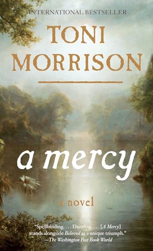 Imagen de archivo de A Mercy a la venta por ThriftBooks-Atlanta