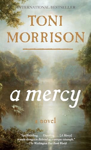 9780307472342: A Mercy (Vintage International)