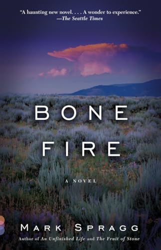 Beispielbild fr Bone Fire : A Novel zum Verkauf von Better World Books