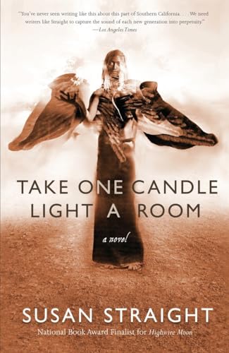 9780307477378: Take One Candle Light a Room: A Novel
