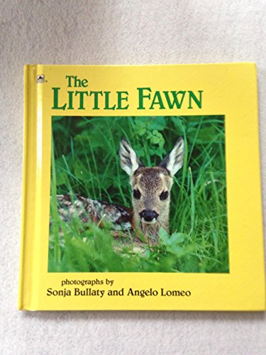 The Little Fawn (Look-Look) (9780307618948) by Bullaty, Sonja