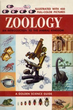 Stock image for Zoology: An Introduction to the Animal Kingdom (A Golden Science Guide) for sale by GF Books, Inc.