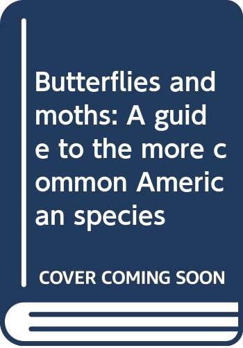 Imagen de archivo de Butterflies and moths a la venta por Library House Internet Sales