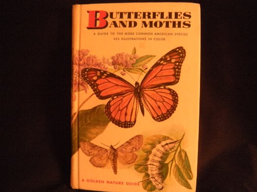 Imagen de archivo de BUTTERFLIES AND MOTHS (GOLDEN GU a la venta por BennettBooksLtd