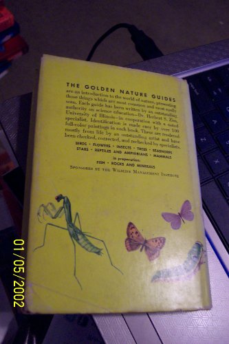 Imagen de archivo de Insects (Golden Guides) a la venta por Irish Booksellers