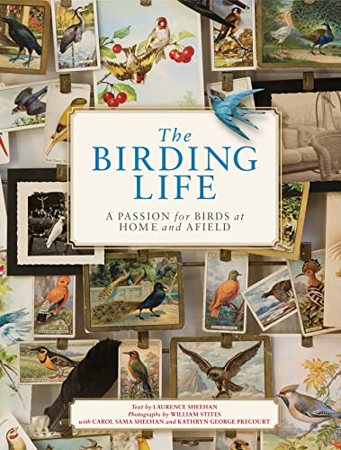 Beispielbild fr The Birding Life: A Passion for Birds at Home and Afield zum Verkauf von BookHolders