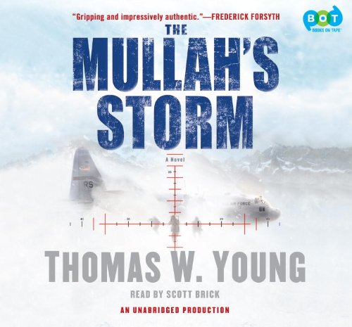 Stock image for The Mullah's Storm for sale by The Yard Sale Store