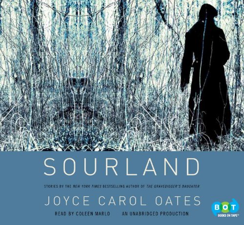 9780307875976: Sourland: Stories