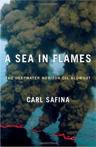 Stock image for A Sea in Flames : The Deepwater Horizon Oil Blowout for sale by Better World Books