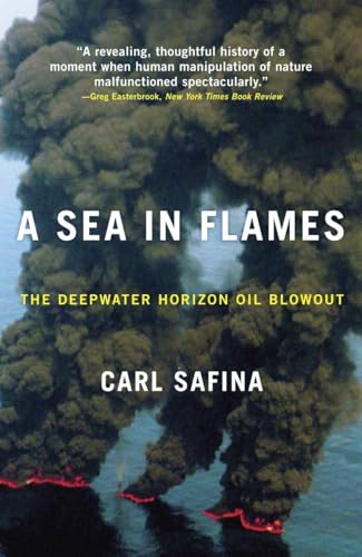 Stock image for A Sea in Flames: The Deepwater Horizon Oil Blowout for sale by SecondSale