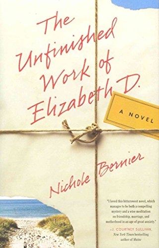 Imagen de archivo de The Unfinished Work of Elizabeth D.: A Novel a la venta por SecondSale