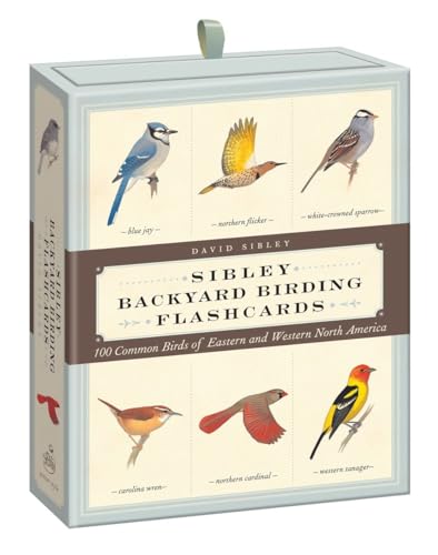 Stock image for Sibley Backyard Birding Flashcards: 100 Common Birds of Eastern and Western North America (Sibley Birds) for sale by BooksRun