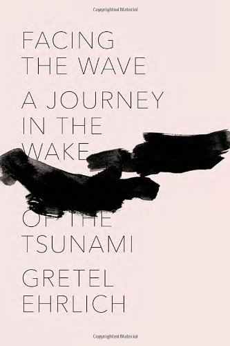 9780307907318: Facing the Wave: A Journey in the Wake of the Tsunami