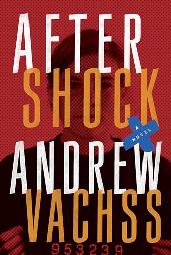 Beispielbild fr Aftershock: A Thriller zum Verkauf von Wonder Book