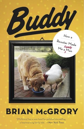 Imagen de archivo de Buddy: How a Rooster Made Me a Family Man a la venta por Wonder Book