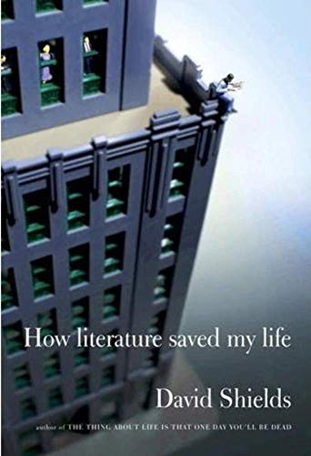 Imagen de archivo de How Literature Saved My Life a la venta por Wonder Book