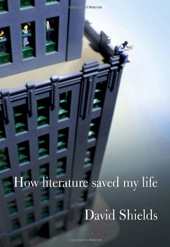 Stock image for How Literature Saved My Life for sale by Wonder Book