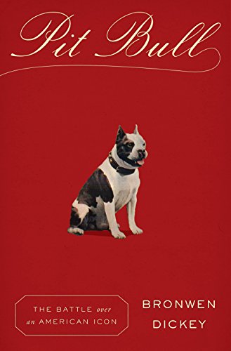 Stock image for Pit Bull for sale by Blackwell's