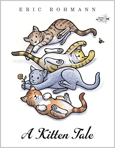 Beispielbild fr A Kitten Tale zum Verkauf von Wonder Book