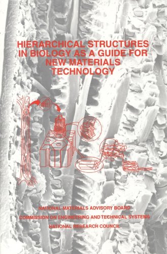 Imagen de archivo de Hierarchical Structures in Biology As a Guide for New Materials Technology a la venta por Better World Books