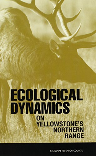 Beispielbild fr Ecological Dynamics on Yellowstone's Northern Range zum Verkauf von Books From California