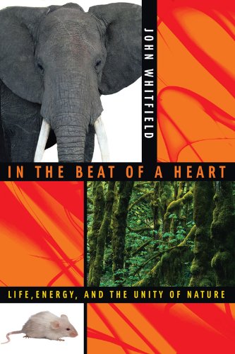 Stock image for In the Beat of a Heart : Life, Energy, and the Unity of Nature for sale by Better World Books