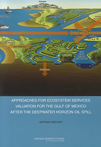 Imagen de archivo de Approaches for Ecosystem Services Valuation for the Gulf of Mexico After the Deepwater Horison Oil Spill: Interim Report a la venta por Revaluation Books
