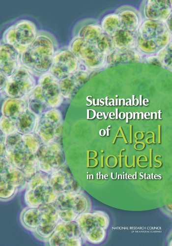 9780309260329: Sustainable Development of Algal Biofuels in the United States