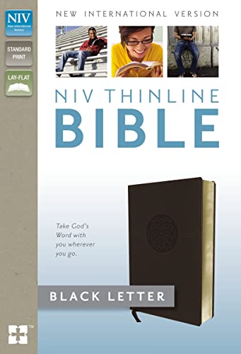 9780310081104: Holy Bible: New International Version, Brown, Thinline, Imitation Leather, With Ribbon Marker