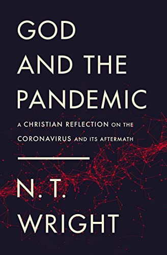 Beispielbild fr God and the Pandemic: A Christian Reflection on the Coronavirus and Its Aftermath zum Verkauf von Wonder Book