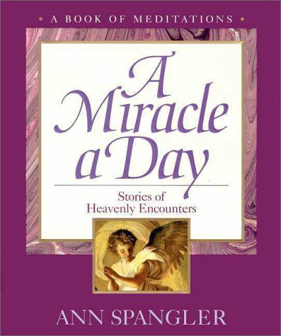 Stock image for A Miracle a Day: Stories of Heavenly Encounters for sale by Inga's Original Choices