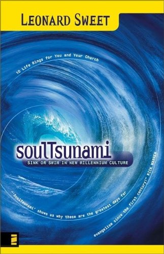 Beispielbild fr SoulTsunami zum Verkauf von Wonder Book