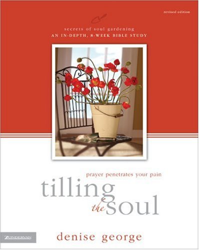Stock image for Tilling the Soul: Prayer Penetrates Your Pain (Secrets of Soul Gardening) for sale by Wonder Book