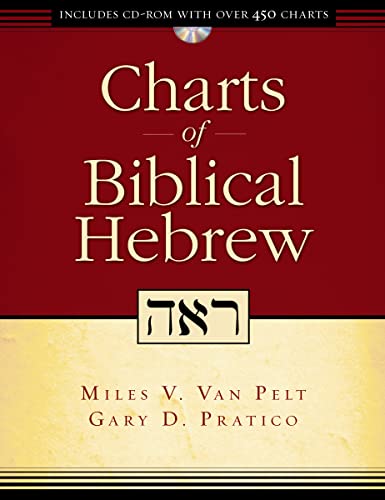 9780310275091: Charts of Biblical Hebrew