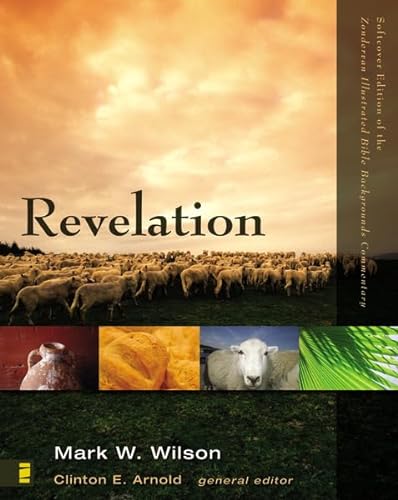 9780310278320: Revelation (Zondervan Illustrated Bible Backgrounds Commentary): No. 22