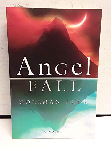 Stock image for Angel Fall: A Novel for sale by HPB-Ruby