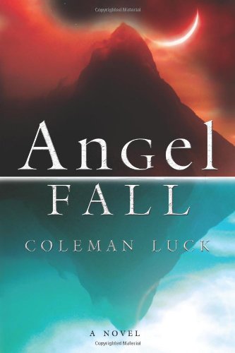 9780310283980: ANGEL FALL: A Novel