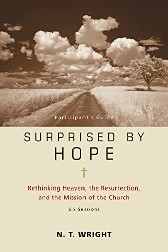 Stock image for Surprised by Hope Participant's Guide: Rethinking Heaven, the Resurrection, and the Mission of the Church(No Dvd) for sale by SecondSale