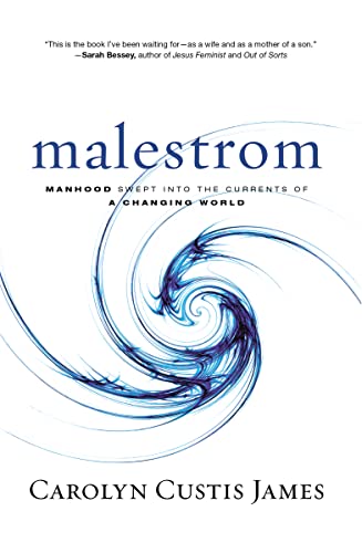 Imagen de archivo de Malestrom: Manhood Swept into the Currents of a Changing World a la venta por Wonder Book